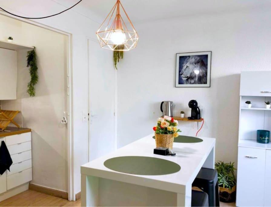 Studio Proche Centre Wifi Parking Lägenhet Montpellier Exteriör bild