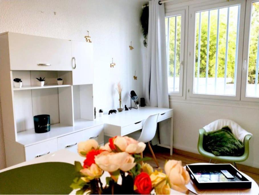 Studio Proche Centre Wifi Parking Lägenhet Montpellier Exteriör bild
